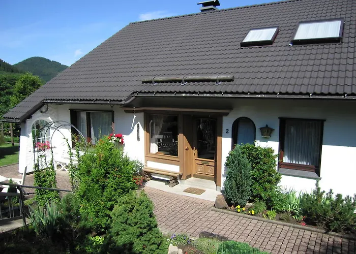 公寓 巴克尔度假公寓酒店 施马伦贝格