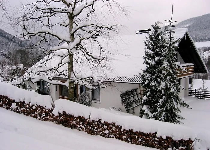 公寓 巴克尔度假公寓酒店 *